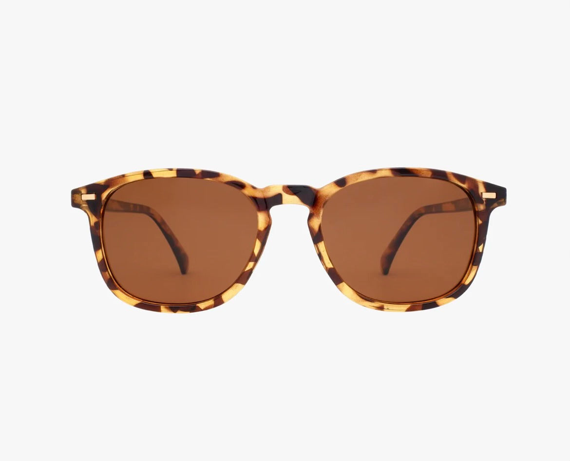 Bean Eyewear