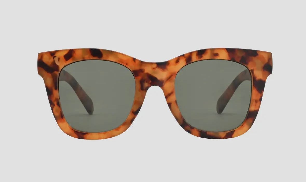 Bailey Eyewear