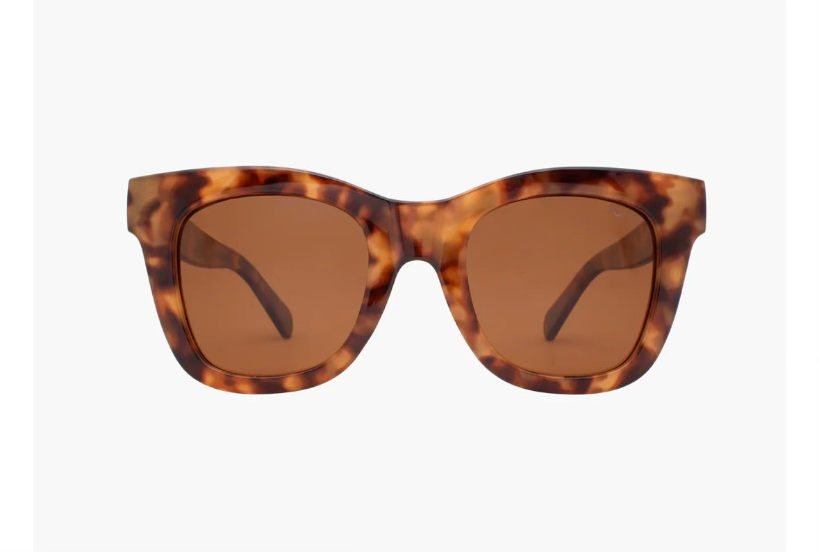 Bailey Eyewear