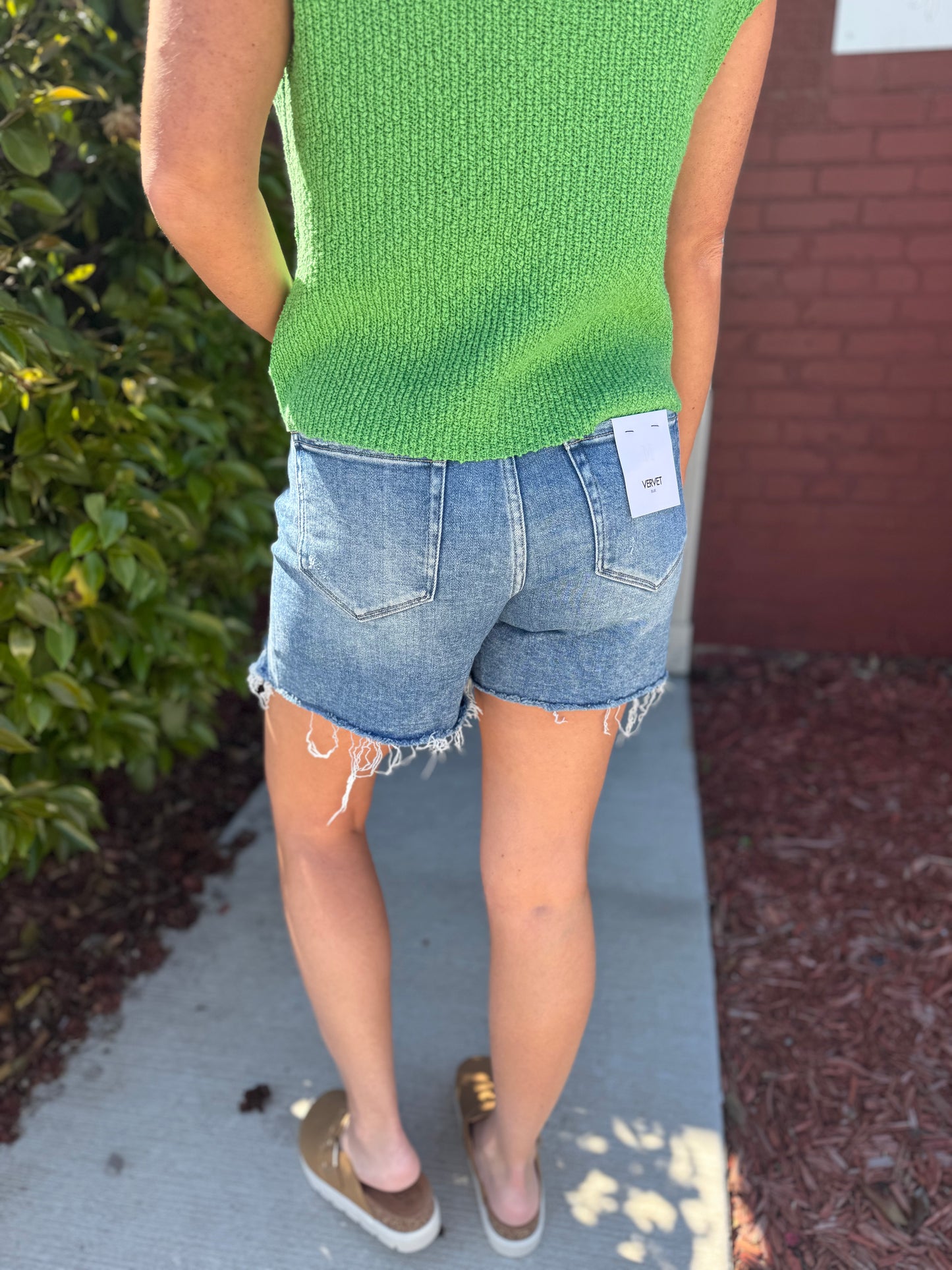 Open Minded Shorts