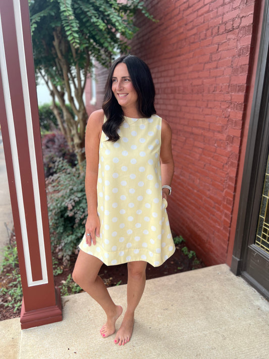 Daisy Mini Dress