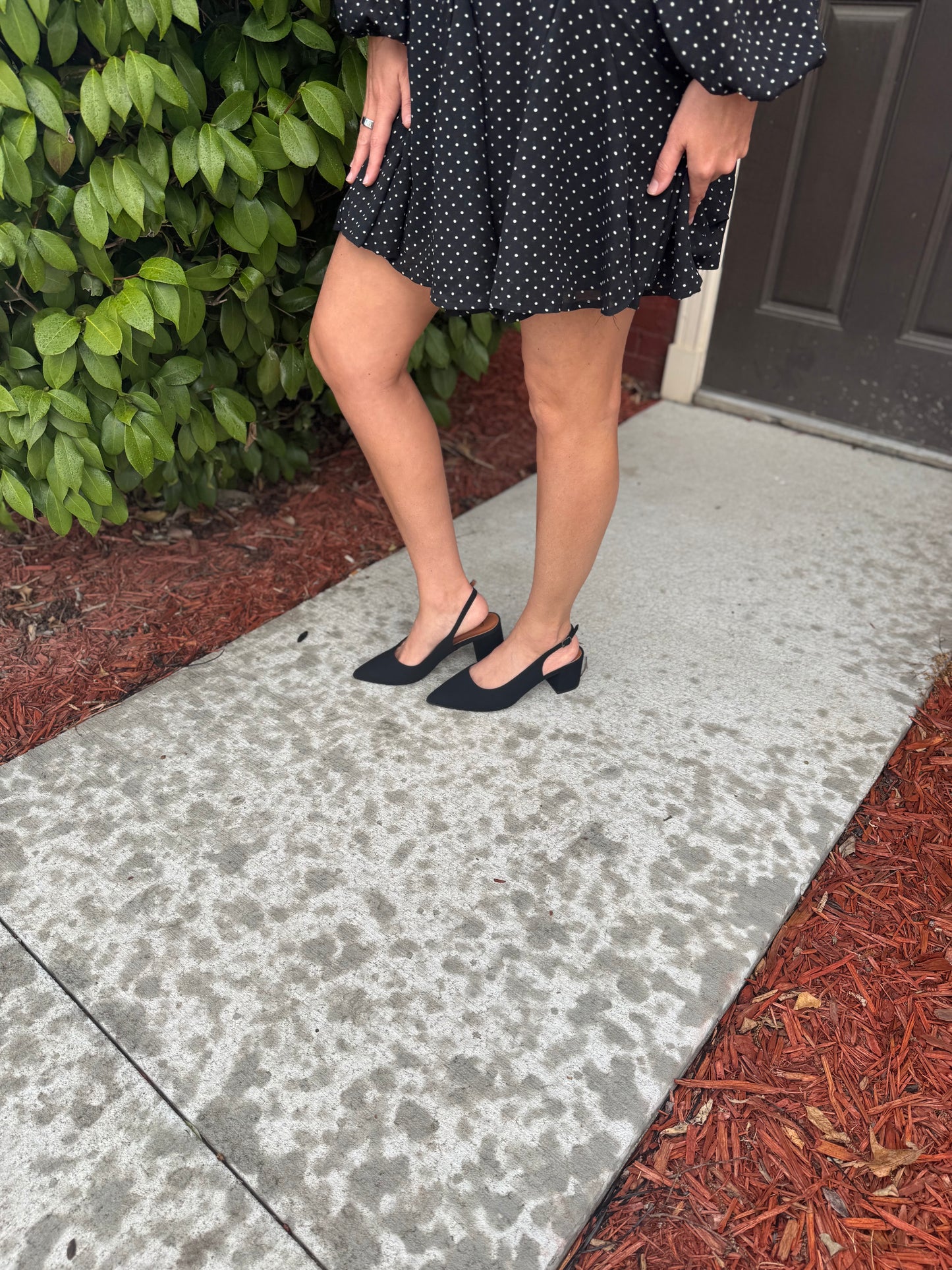 Donna Heel