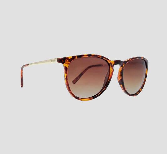 Hale Eyewear